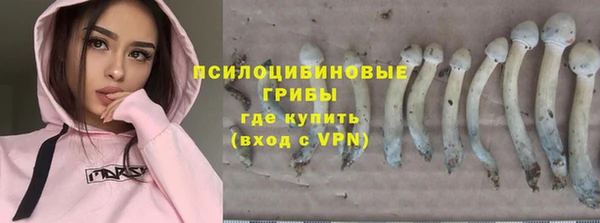 spice Аркадак