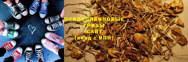 твердый Арсеньев