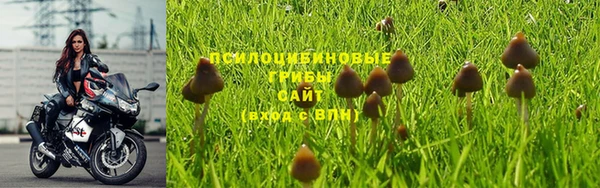 spice Аркадак