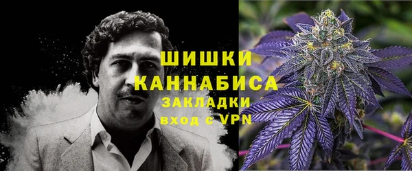 spice Аркадак
