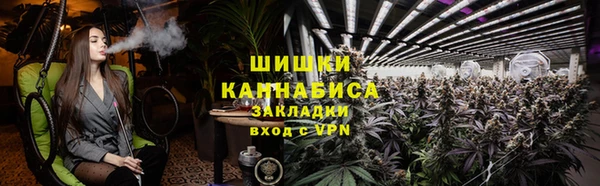 spice Аркадак