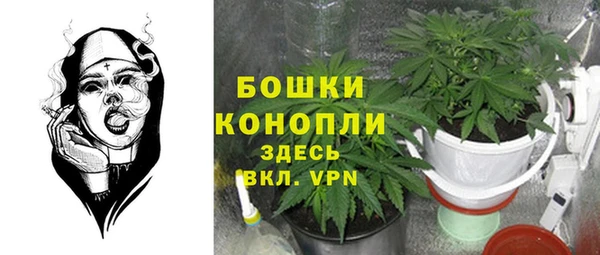 твердый Арсеньев