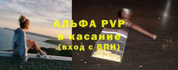 spice Аркадак