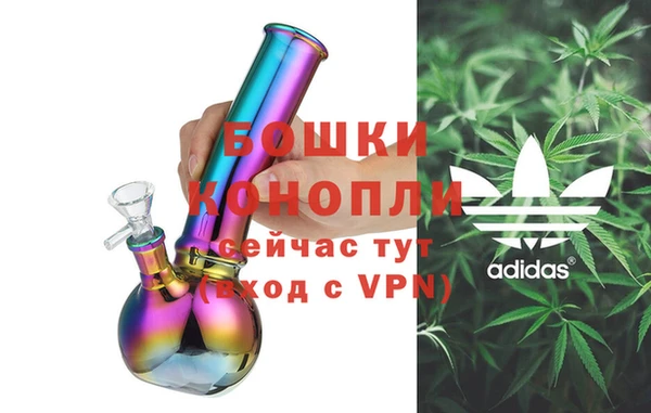 твердый Арсеньев
