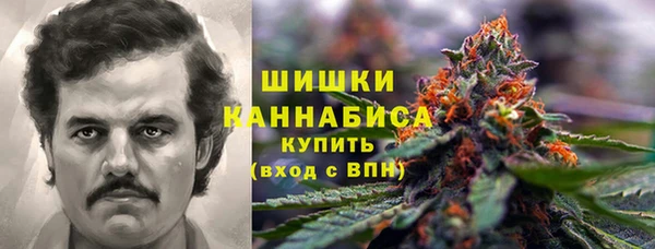 spice Аркадак