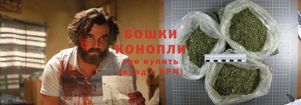 ПСИЛОЦИБИНОВЫЕ ГРИБЫ Краснослободск